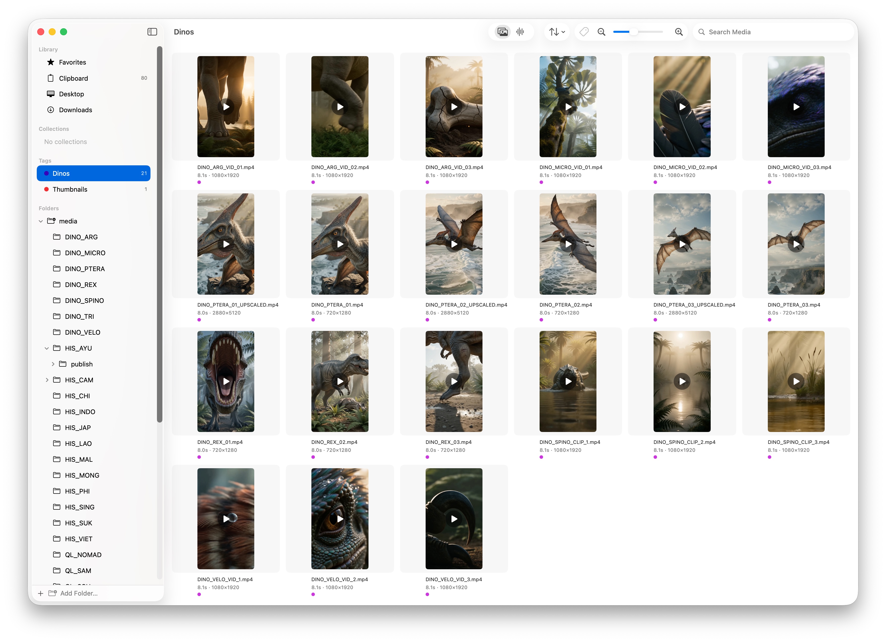 Flicksy on macOS showing a visual grid of video clips