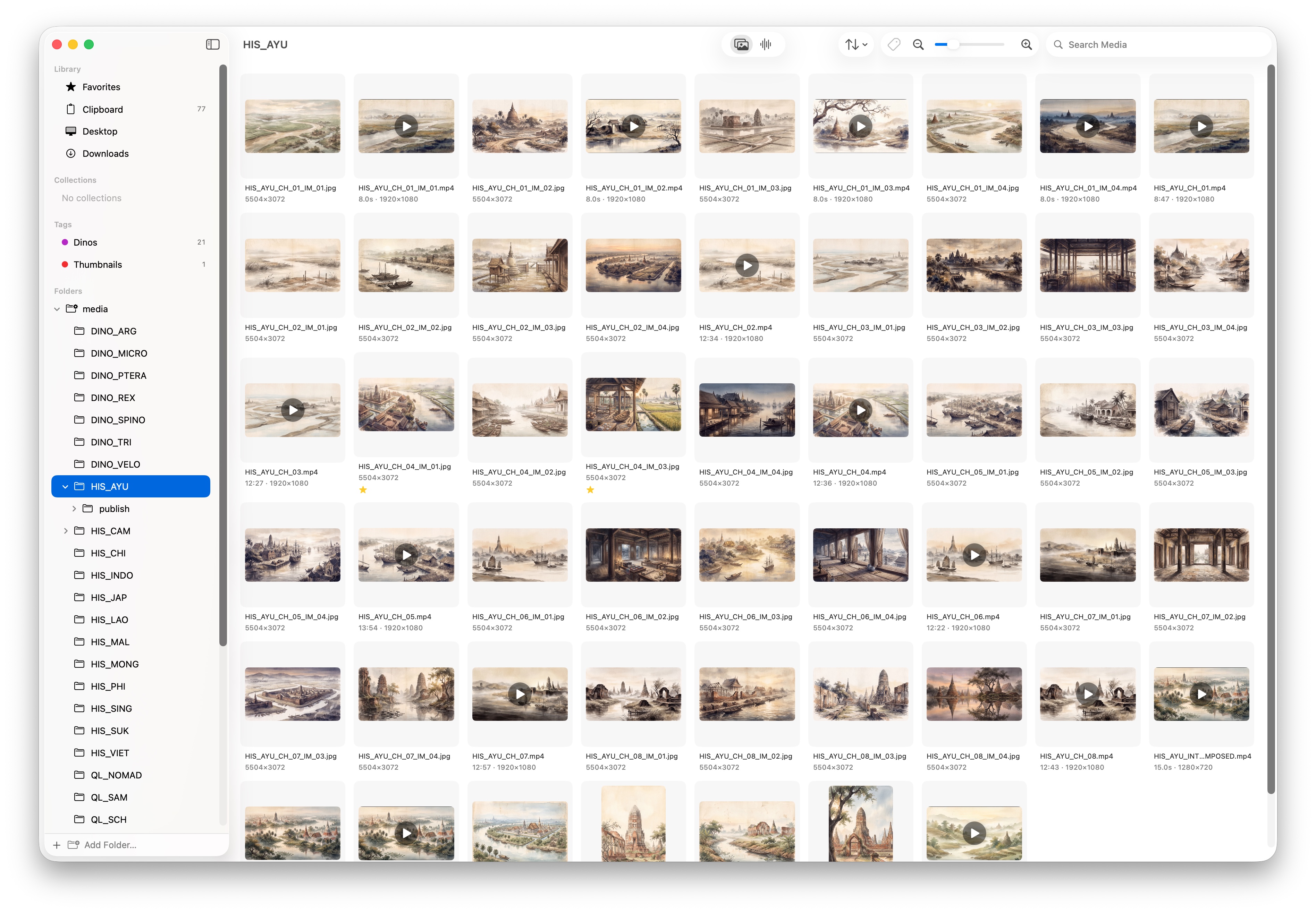 Flicksy browser window showing images and video from a project folder